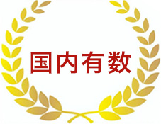 国内有数