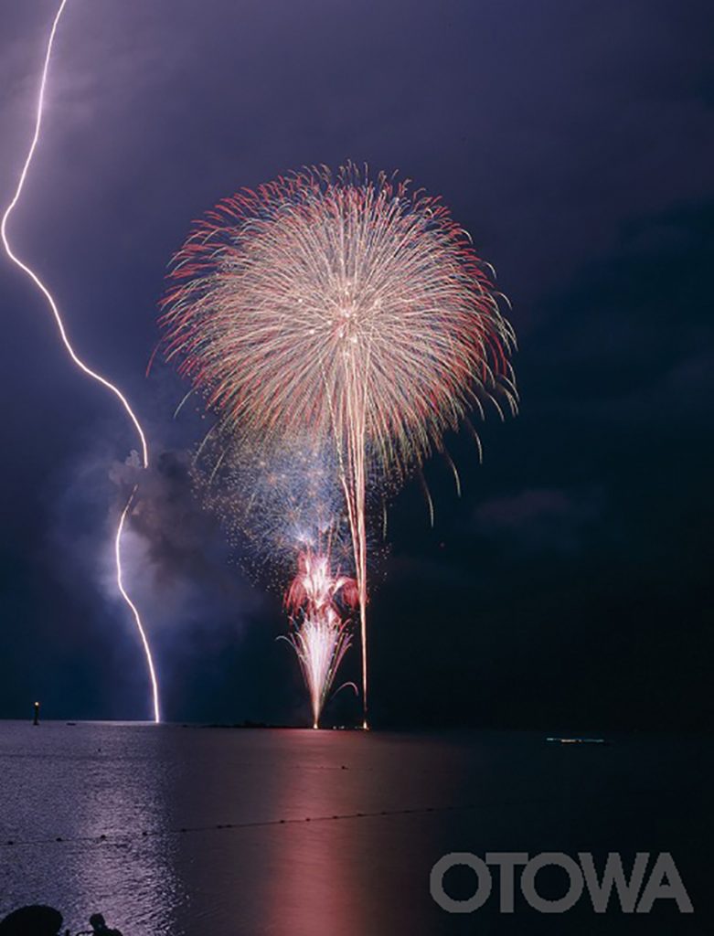 第5回 雷写真コンテスト受賞作品 銅賞 -夜空の競演-